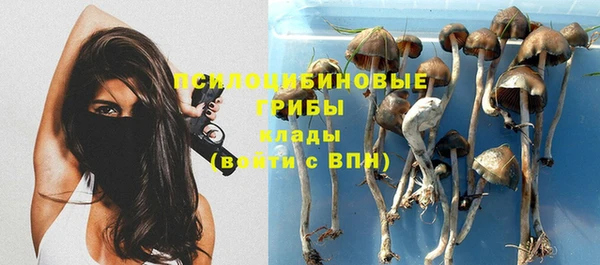 гашиш Беломорск