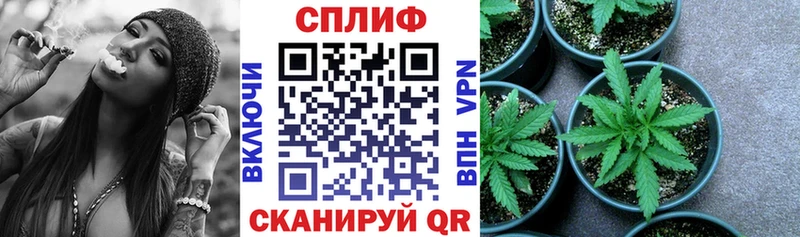Канабис White Widow Купить Дегтярск